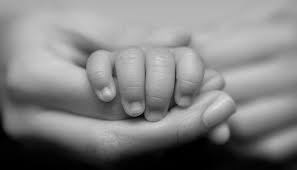 utero_in_affitto_maternita_surrogata_surrogazione